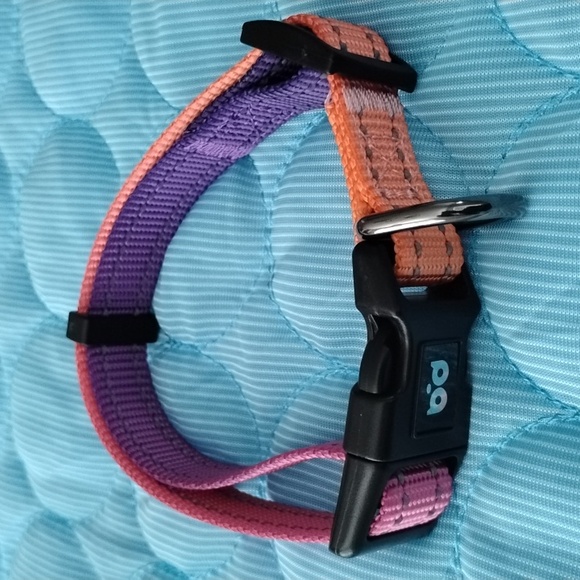 supply pet Other - Colorful Pink and Purple Dog Collar